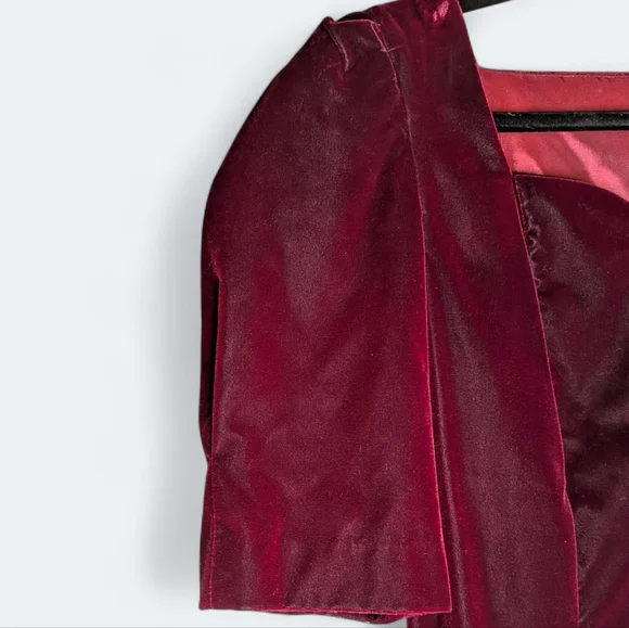 Vintage Cachet by Bari Protas Plum Velvet Romantic Evening Dress Size 16 NWT - Picture 6 of 14